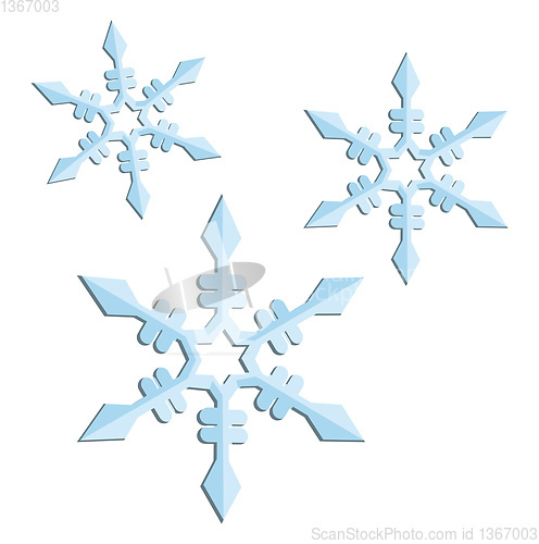 Image of Three snowflakes vector illustration on a white background