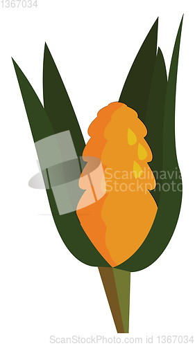 Image of Yellow wheet vector illustration on white background.