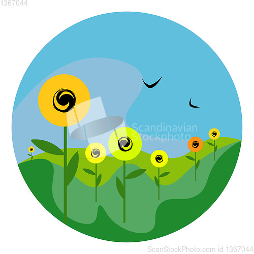Image of Portrait of sunflowers in a field vector or color illustration