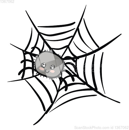 Image of Cartoon of a cute grey spider on a web vector illustration on wh