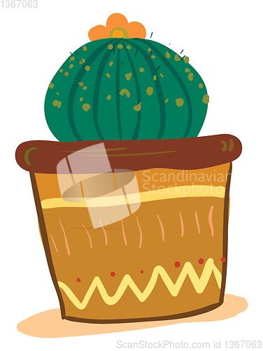 Image of A round shape cactus house plant with an orange flower at its to