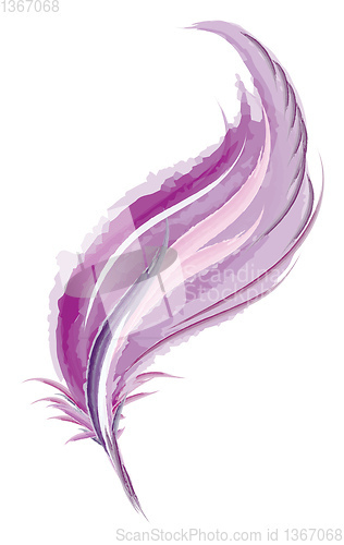 Image of Purple water stroke feather painting vector or color illustratio