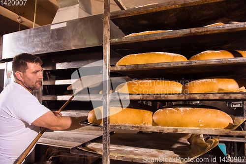 Image of bakery worker taking out freshly baked breads