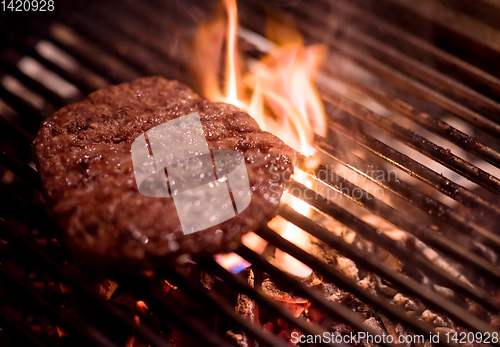 Image of delicious grilled meat on barbecue