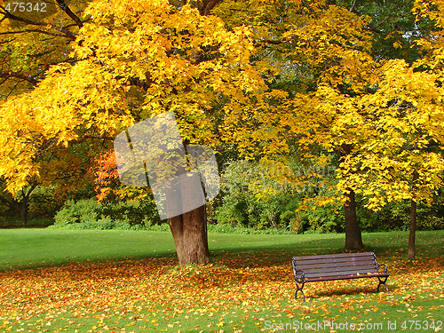 Image of City park in autumn