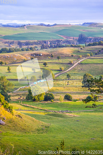 Image of sunset landscape New Zealand north island