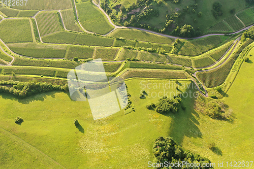 Image of aerial view vineyard scenery at Kaiserstuhl Germany