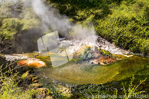 Image of volcanic activities at waimangu