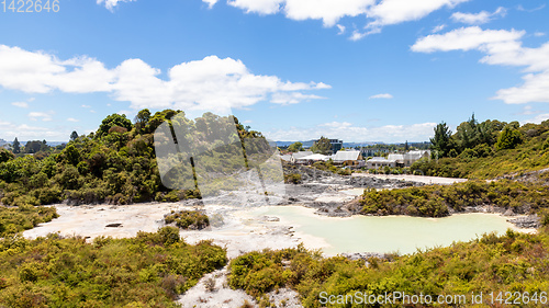 Image of geothermal activity at Whakarewarewa Rotorua New Zealand