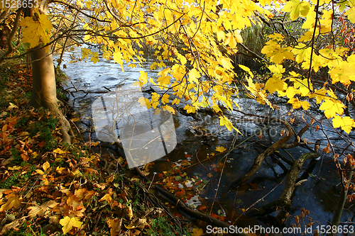 Image of autumn in Denmark