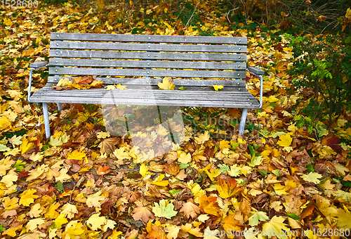 Image of beanch with dead leaves in autumn in Denmark