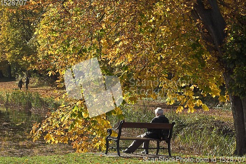 Image of Man on bench in autumn in Denmark