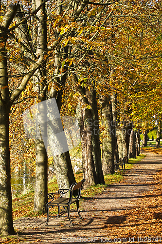 Image of Alley in autumn in Denmark