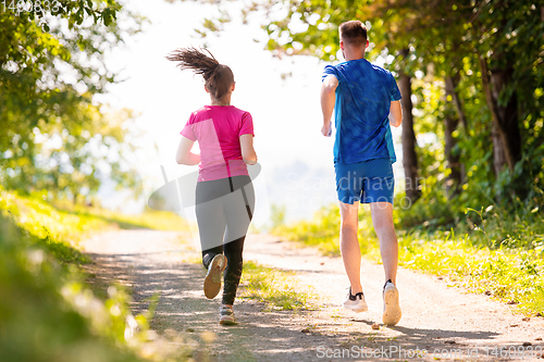 Image of young couple jogging on sunny day at nature