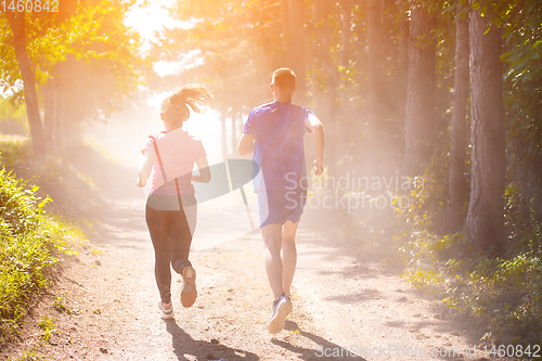 Image of young couple jogging on sunny day at nature