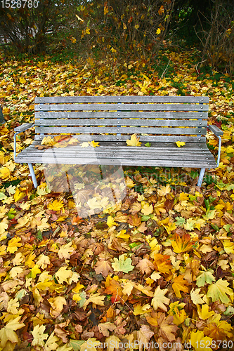 Image of beanch with dead leaves in autumn in Denmark