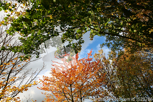 Image of autumn in Denmark