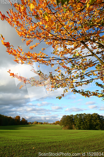 Image of autumn in Denmark