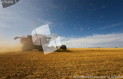 Image of Working the crop