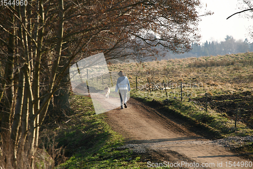 Image of Girl walking the dog in a park in Denmark