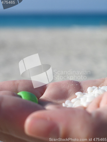 Image of white tiny shell in the palm of a hand