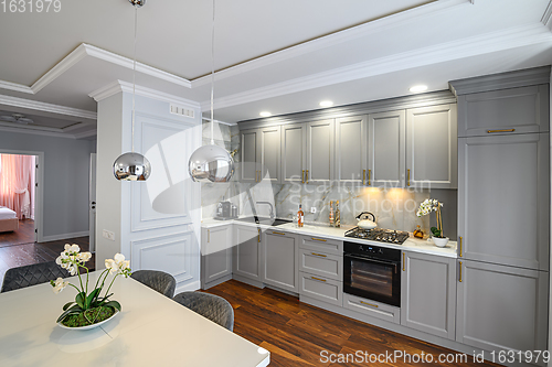 Image of Grey luxury studio kitchen designed in modern style