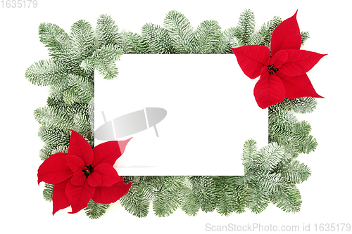 Image of Thanksgiving Poinsettia Flower Background Border 