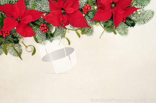 Image of Poinsettia Flower Border for Thanksgiving