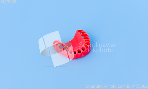 Image of model of human gums without teeth isolated on blue