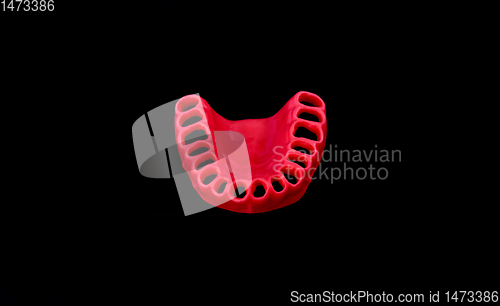 Image of model of human gums without teeth isolated on black