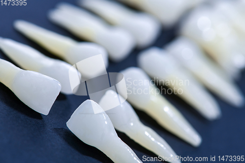 Image of White teeth on blue background