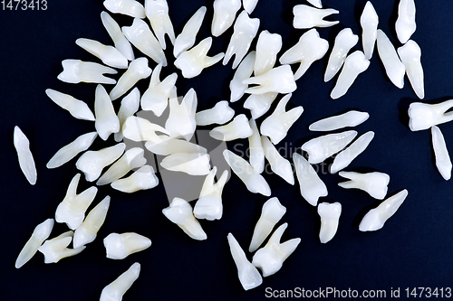 Image of White teeth on blue background