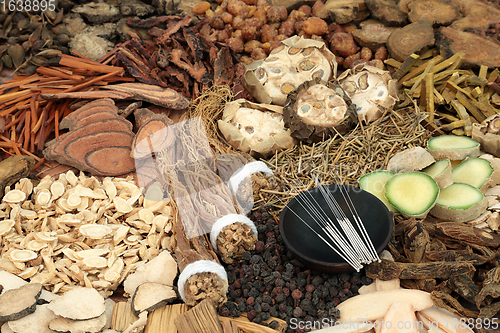 Image of Chinese Acupuncture Needles and Herbal Medicine