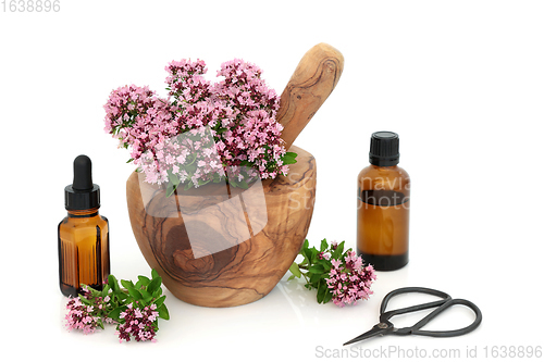 Image of Oregano Herb Flowers for IBS Herbal Medicine