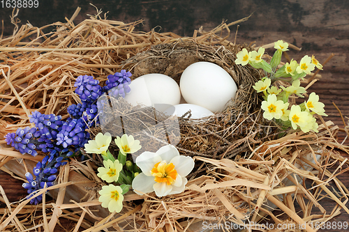 Image of Symbols of Spring with Natural Bird Nest 