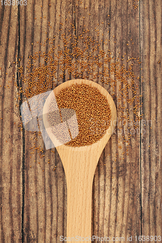 Image of Camelina Seeds in a Wooden Spoon