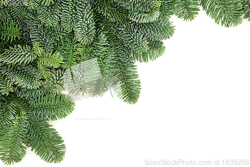 Image of Spruce Fir Winter Greenery Background 