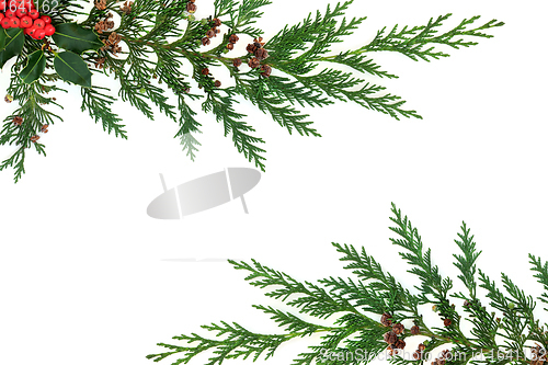 Image of Christmas Holly and Cedar Cypress Background Border