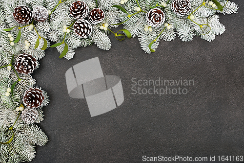 Image of Winter Spruce Fir Pine Cone and Mistletoe Border