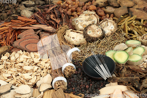 Image of Chinese Acupuncture Needles and Herbal Medicine