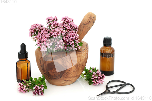 Image of Oregano Herb Flowers for IBS Herbal Medicine