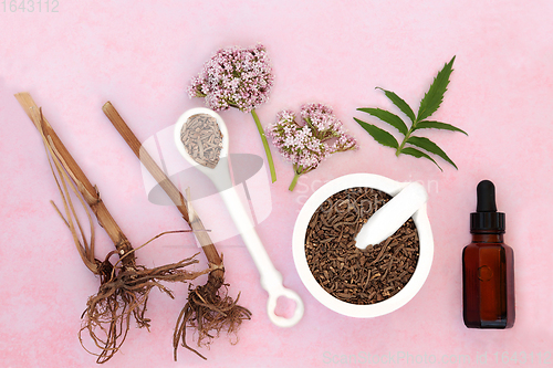 Image of Valerian Herb Root and Flowers