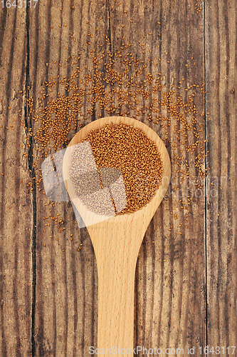 Image of Camelina Seeds in a Wooden Spoon