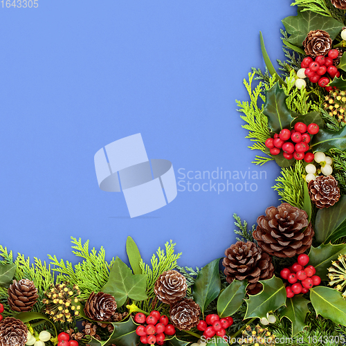 Image of Winter Flora for Christmas and New Year 