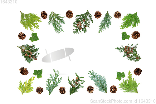 Image of Cedar Cypress Ivy and Pine Cone Abstract Border