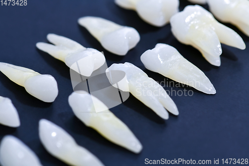 Image of White teeth on blue background