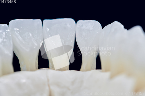 Image of Lower human jaw with teeth isolated on black background