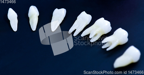 Image of White teeth on blue background