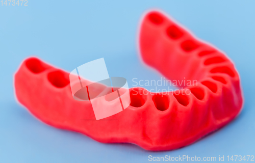 Image of model of human gums without teeth isolated on blue