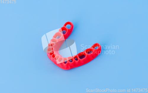 Image of model of human gums without teeth isolated on blue